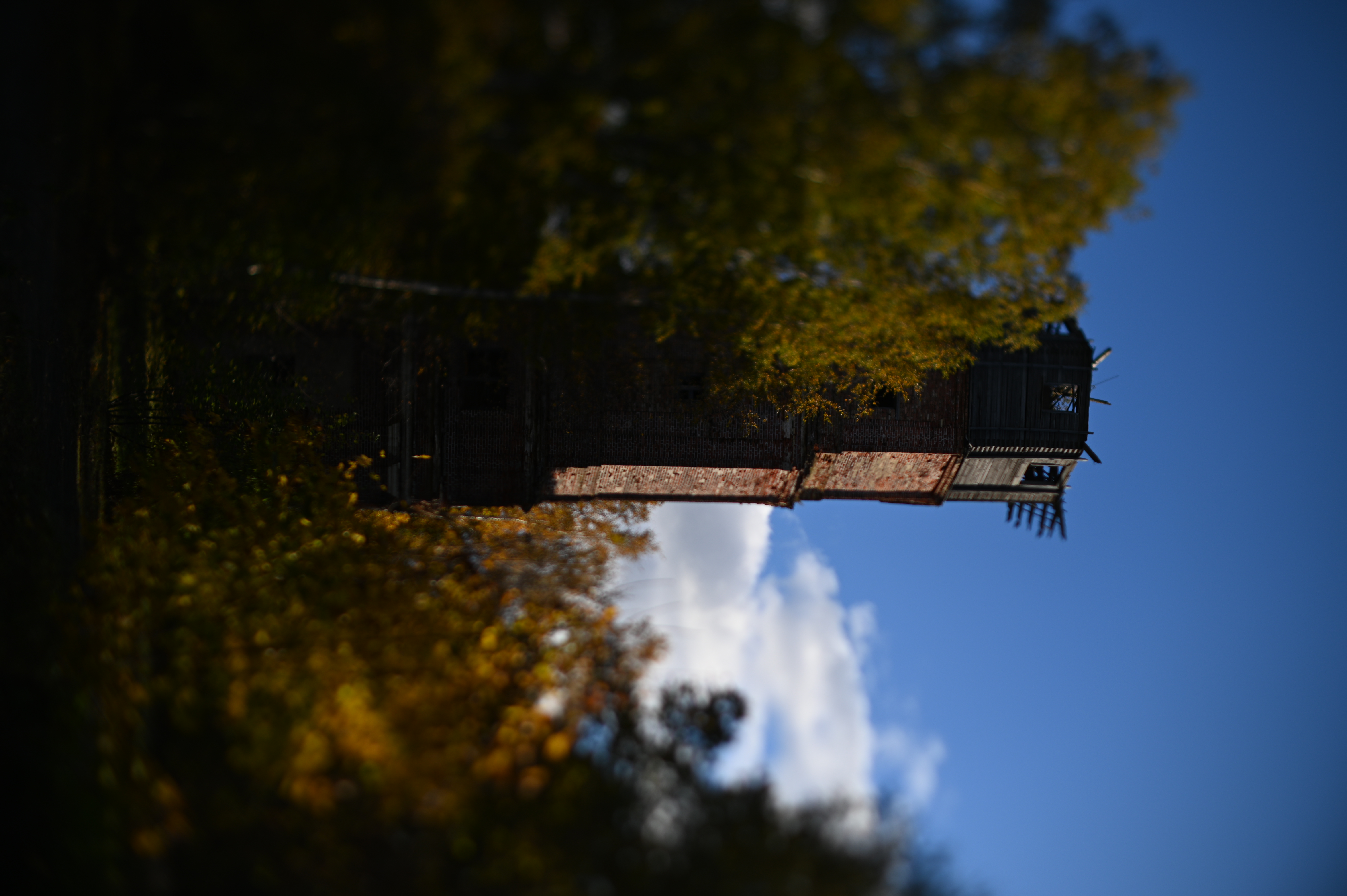 2025/10/18 - walk/DSC_0077.JPG